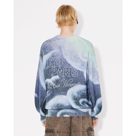 Pull unisexe brodé 'KENZO Cloud Tiger'